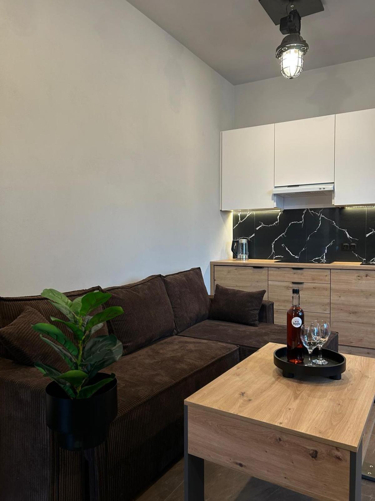 Loft House Διαμέρισμα Nowy Targ Εξωτερικό φωτογραφία